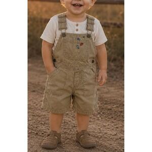 Carters Bug Overalls (Sz. 24M) Summer Overalls